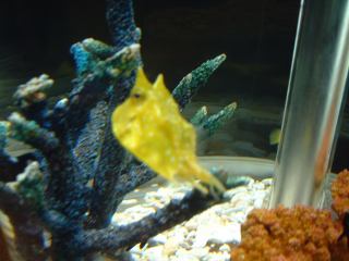 2002-11-04 13:03:58