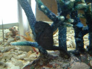 2002-11-04 13:10:08