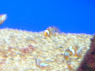 2002-11-04 13:35:26