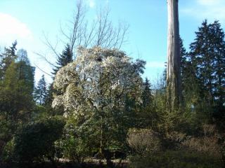 2005-04-09 01:00:27